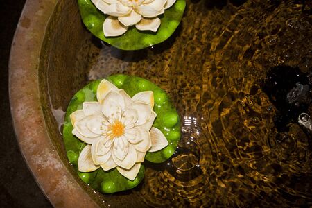 White lotus decorate on waterの写真素材
