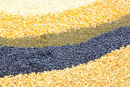 Legumes backgroundの写真素材