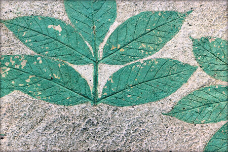 Marks of green leaf on the concrete.