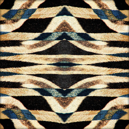 Abstract art leather detailed textured grunge background.の写真素材