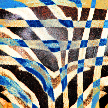 Abstract art leather detailed textured grunge.の写真素材