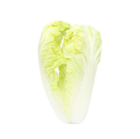 Cabbage isolated on white backgroundの写真素材