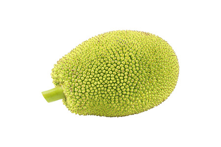 Green jackfruit isolated on white background