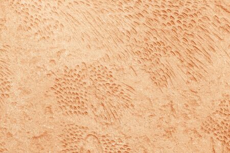 texture of concrete floor walkwayの写真素材