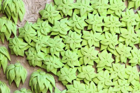 cement wall plaster greenflowers background