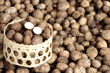 puffball mushroom, thai mushroom in basket for backgroundの写真素材
