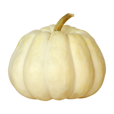 Pumpkin isolated on a white background. Fancy pumpkinの写真素材