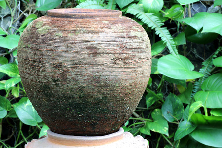 old clay pot in the green garden background