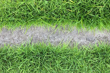 green grass and cement floor texture background in the park 