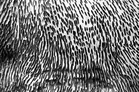 aluminum metal plate texture use for abstract background.の写真素材