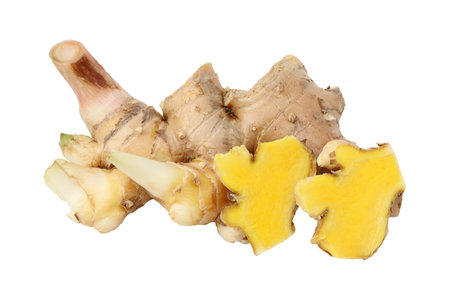 Fresh yellow herb or the plai isolated on white background. (Zingiber montanum)の写真素材