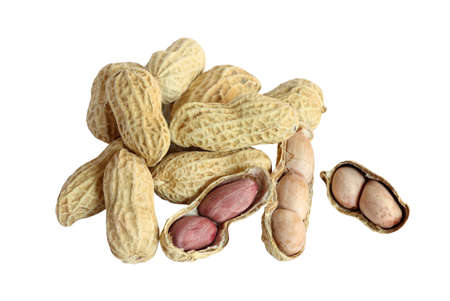 Organic dried peanuts in shell isolated on white background with clipping path
