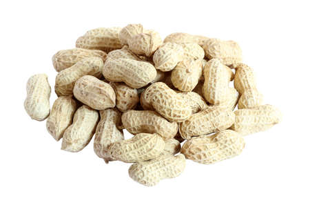 Organic dried peanuts in shell isolated on white background with clipping path
