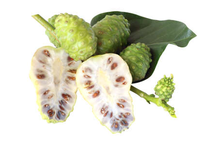 fresh Noni fruits on white isolated backgroundの写真素材