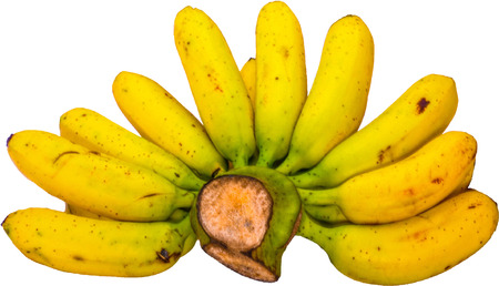 Yellow bananas from north of Thailand の写真素材