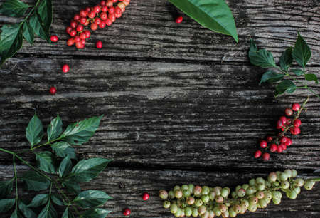 A wallpaper or background (also known as a desktop wallpaper, desktop background, desktop picture or desktop image on computers) is a digital image (photo, drawing etc.) used as a decorative backgrounの写真素材