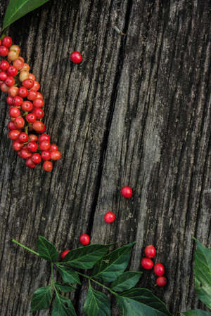 A wallpaper or background (also known as a desktop wallpaper, desktop background, desktop picture or desktop image on computers) is a digital image (photo, drawing etc.) used as a decorative backgrounの写真素材