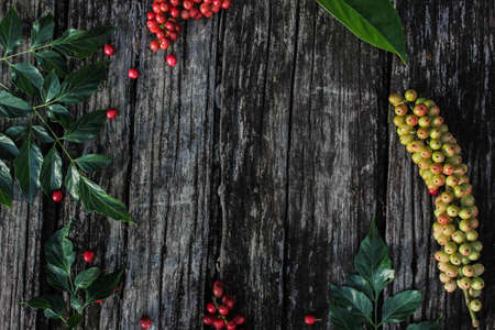 A wallpaper or background (also known as a desktop wallpaper, desktop background, desktop picture or desktop image on computers) is a digital image (photo, drawing etc.) used as a decorative backgrounの写真素材