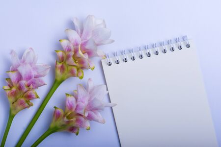 Notebook and Siam Tulip On a white backgroundの写真素材