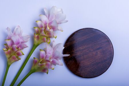 Wood circles  and Siam Tulip On a white backgroundの写真素材