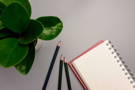 Red note with pencil placed on the table next to the ornamental tree.