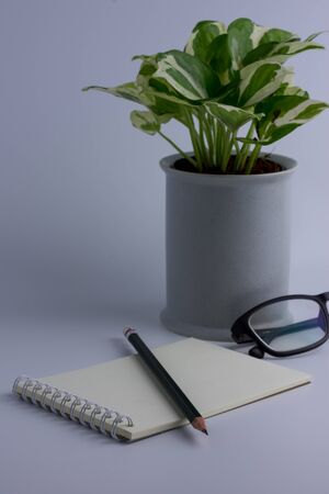 Pencil put on notebook next to Ornamental Plantの写真素材