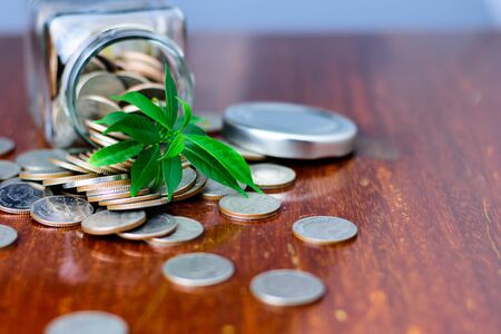 Sixth Medal of Glass Bottles, Finance, Concepts