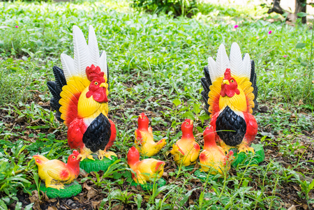 Chicken familyの写真素材
