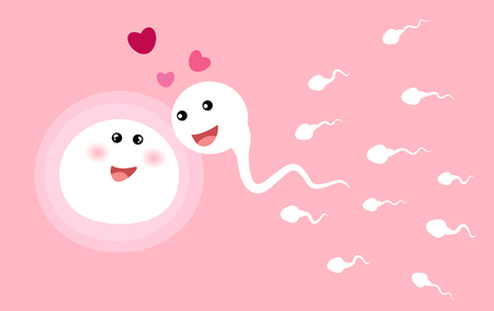 sperm and egg. vector illustration.のイラスト素材