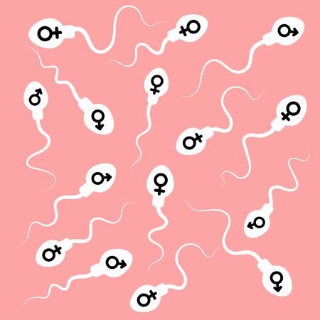 sperm and egg. vector illustration