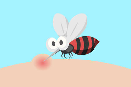 mosquito bite vector illustration. dengue fever conceptのイラスト素材