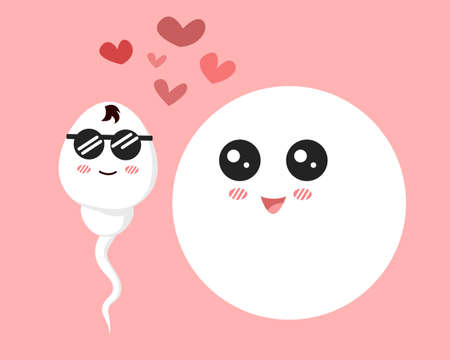sperm and egg cartoon character. vector illustrationのイラスト素材