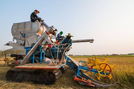 BANGKOK, THAILAND - MARCH 1 : Unidentified farmer harvesting rice in paddy field with harvest car on March 1, 2014 in Nong Chok, Bangkok, Thailand.のeditorial素材