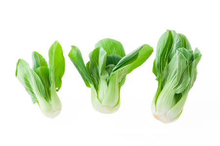 fresh green bok choy (chinese cabbage) isolated on white backgroundの写真素材