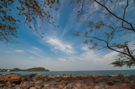 tree branch on beach under blue sky at hin ngam beach, sichon, nakhon si thammaratâ, thailandの写真素材