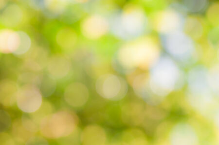 defocused abstract green natural backgroundの写真素材