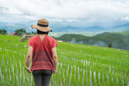 Young female traveler with hat sitting on wooden bench and enjoying beautiful view rice fields on terraced of Ban Pa Bong Piang in the planting season, Chiangmai, Thailandの写真素材