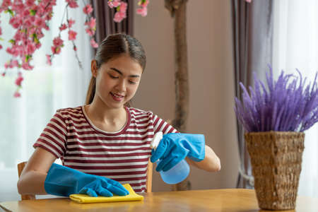 Asian housewife wearing gloves and holding spray wiping the table in living room at home, Happy cleaning conceptの写真素材