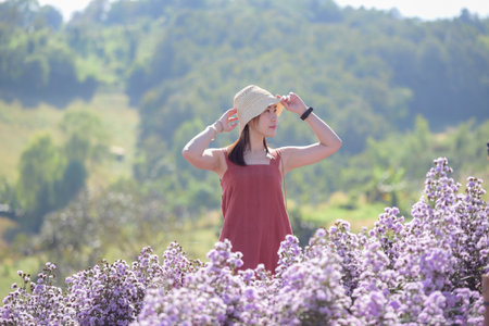 Young Asian woman traveler sightseeing on Margaret Aster flowers field in garden at Khao Kho,...