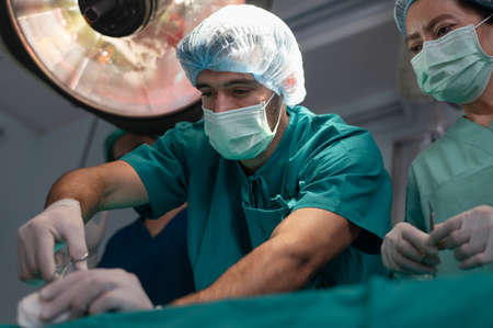 Team of professional doctors performing operation in surgery room, Healthcare and Medical