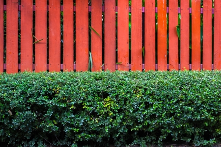 orange wall wood with gardenの写真素材