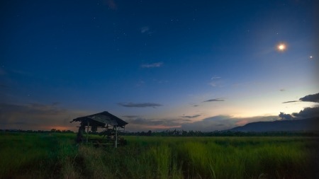 night sky on rice fieldの写真素材