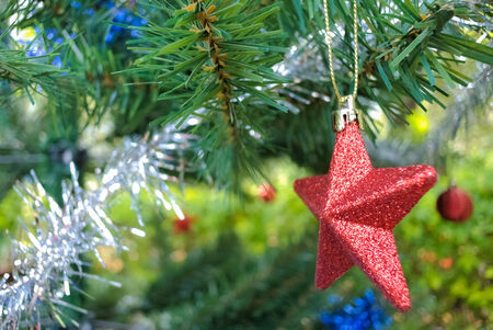 Christmas treeの写真素材