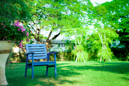 One Wooden blue chair alone in the garden. Feel lonely, but relaxing and retirementの写真素材