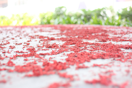 China red cracker are fired and explored continues on the floor in Chinese New Year Event.