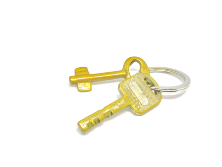 2 types of golden key in the ring with with background.の写真素材