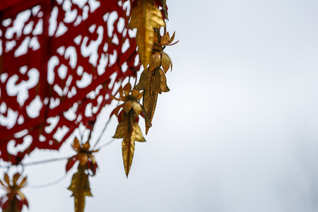 close up vintage Red gold tranditional Thail shading (like an umbella) decorated with gold mobile around it.の写真素材