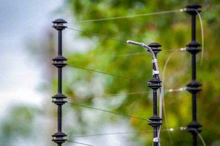 electric shock cable and pole with the blur green tree background.