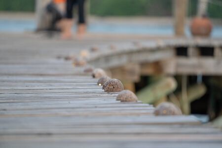 Close up Jetty classic old style with the wood walk way for the packaging nature vintageの写真素材
