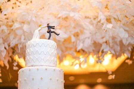 groom doll and statue is running away but bride can catch him finally. the funny wedding story doll...